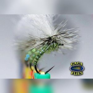 Gaga Flies Dry 8
