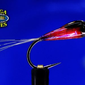 Gaga Flies Predigon 1