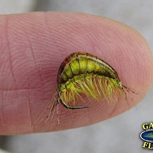 Gaga Flies Gammarus 8