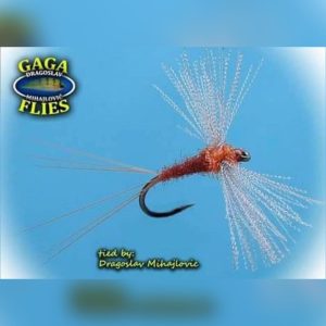 Gaga Flies Dry 47