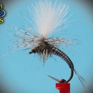 Gaga Flies Dry 48