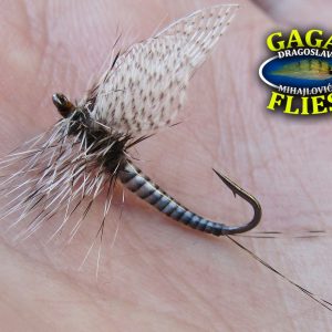 Gaga Flies Dry 14