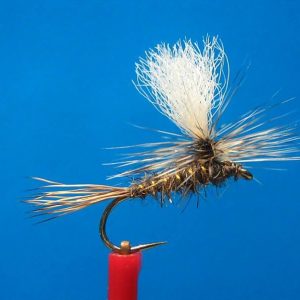 Gaga Flies Dry 91