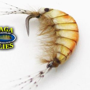 Gaga Flies Gammarus 25