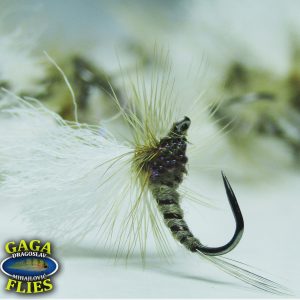 Gaga Flies Dry 18