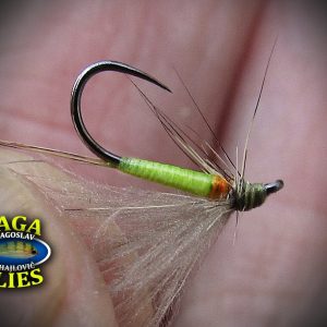 Gaga Flies Dry 24