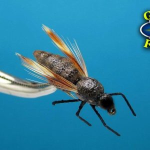 GAGA FLIES TERRESTRIAL 2