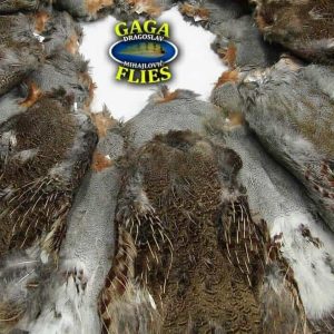 HUNGARIAN PARTRIDGE WHOLE SKIN  - PREMIUM