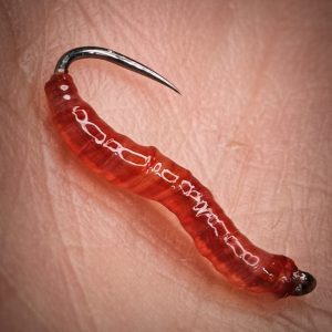 GAGA FLIES NYMPH 169 ( BLOOD WORM )