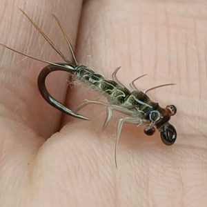gaga flies/ REALISTIC NYMPH 49